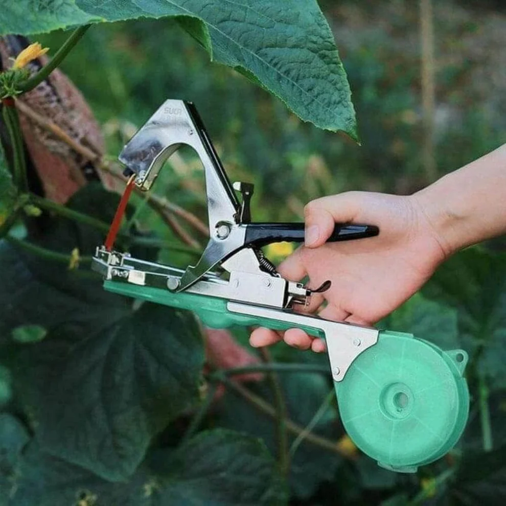 Attache plante innovant